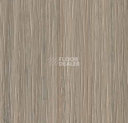 Кварцвиниловые полы Forbo Marmoleum Modular te3573 trace of nature фото 1 | FLOORDEALER